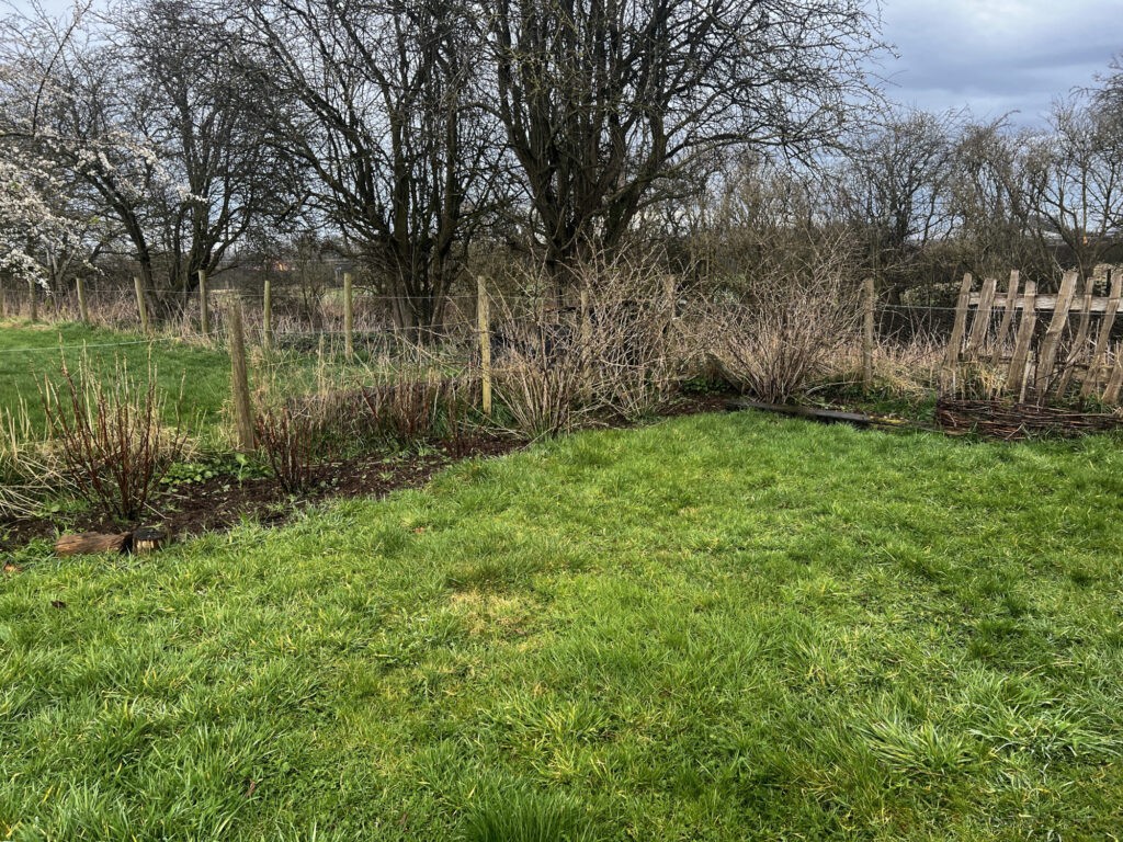 March Update From Cambrian Railway Orchard Project